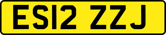ES12ZZJ