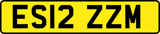 ES12ZZM