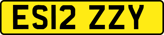 ES12ZZY