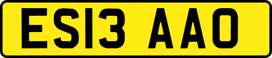 ES13AAO