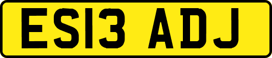 ES13ADJ
