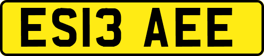 ES13AEE