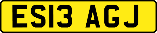 ES13AGJ