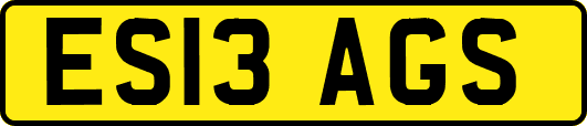 ES13AGS