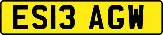 ES13AGW