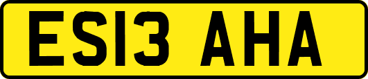 ES13AHA