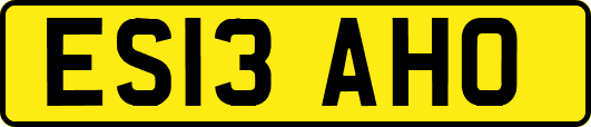 ES13AHO