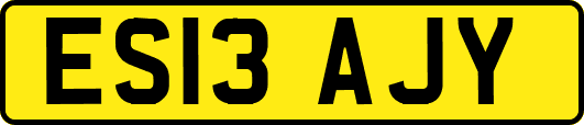 ES13AJY