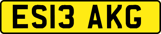 ES13AKG