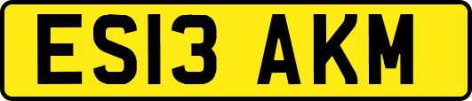ES13AKM