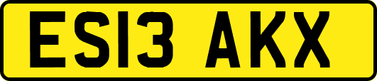 ES13AKX