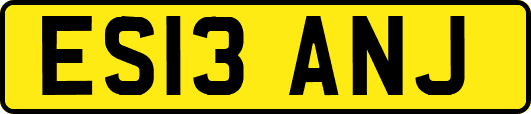 ES13ANJ
