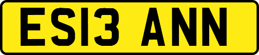 ES13ANN