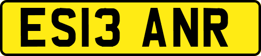 ES13ANR