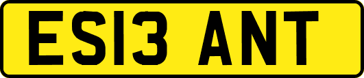 ES13ANT