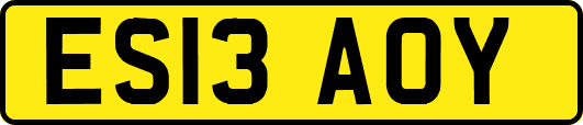 ES13AOY