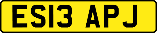 ES13APJ