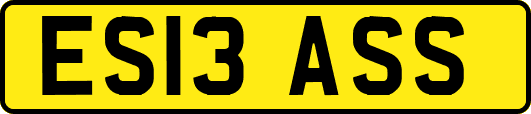 ES13ASS