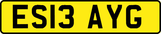 ES13AYG