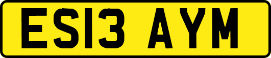 ES13AYM