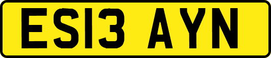 ES13AYN
