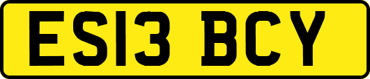 ES13BCY