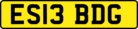 ES13BDG