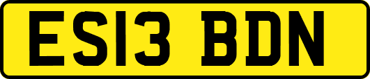 ES13BDN