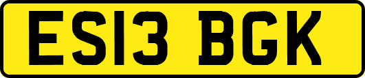 ES13BGK