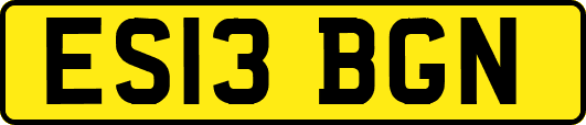 ES13BGN