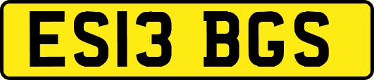ES13BGS
