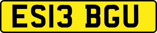 ES13BGU