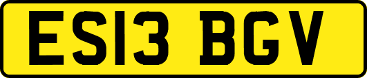 ES13BGV
