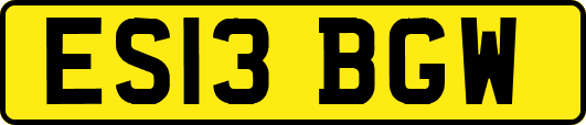 ES13BGW