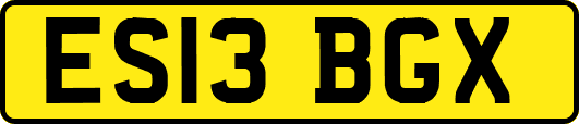ES13BGX