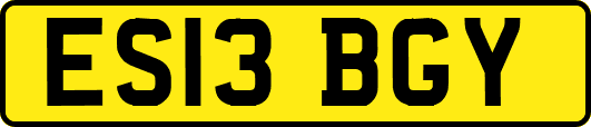 ES13BGY
