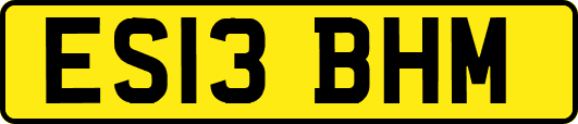 ES13BHM