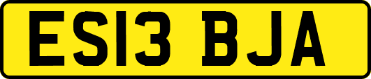 ES13BJA