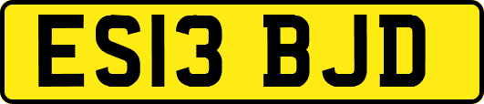ES13BJD