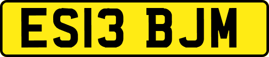 ES13BJM