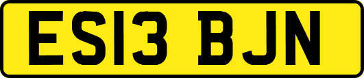 ES13BJN
