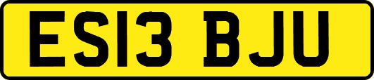 ES13BJU