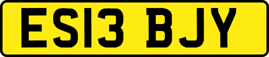 ES13BJY
