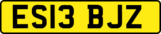 ES13BJZ