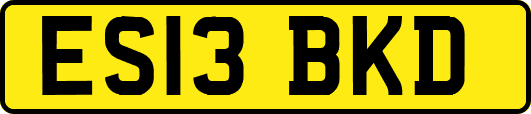 ES13BKD