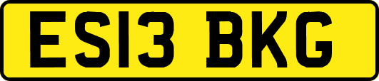 ES13BKG