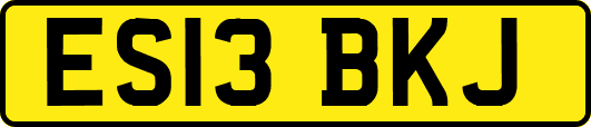 ES13BKJ
