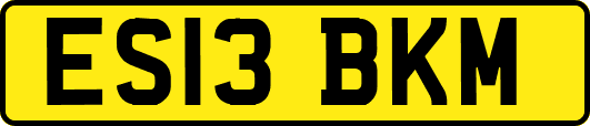 ES13BKM
