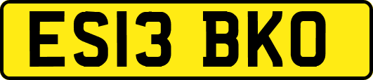 ES13BKO
