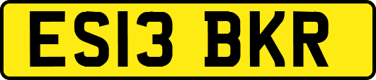 ES13BKR